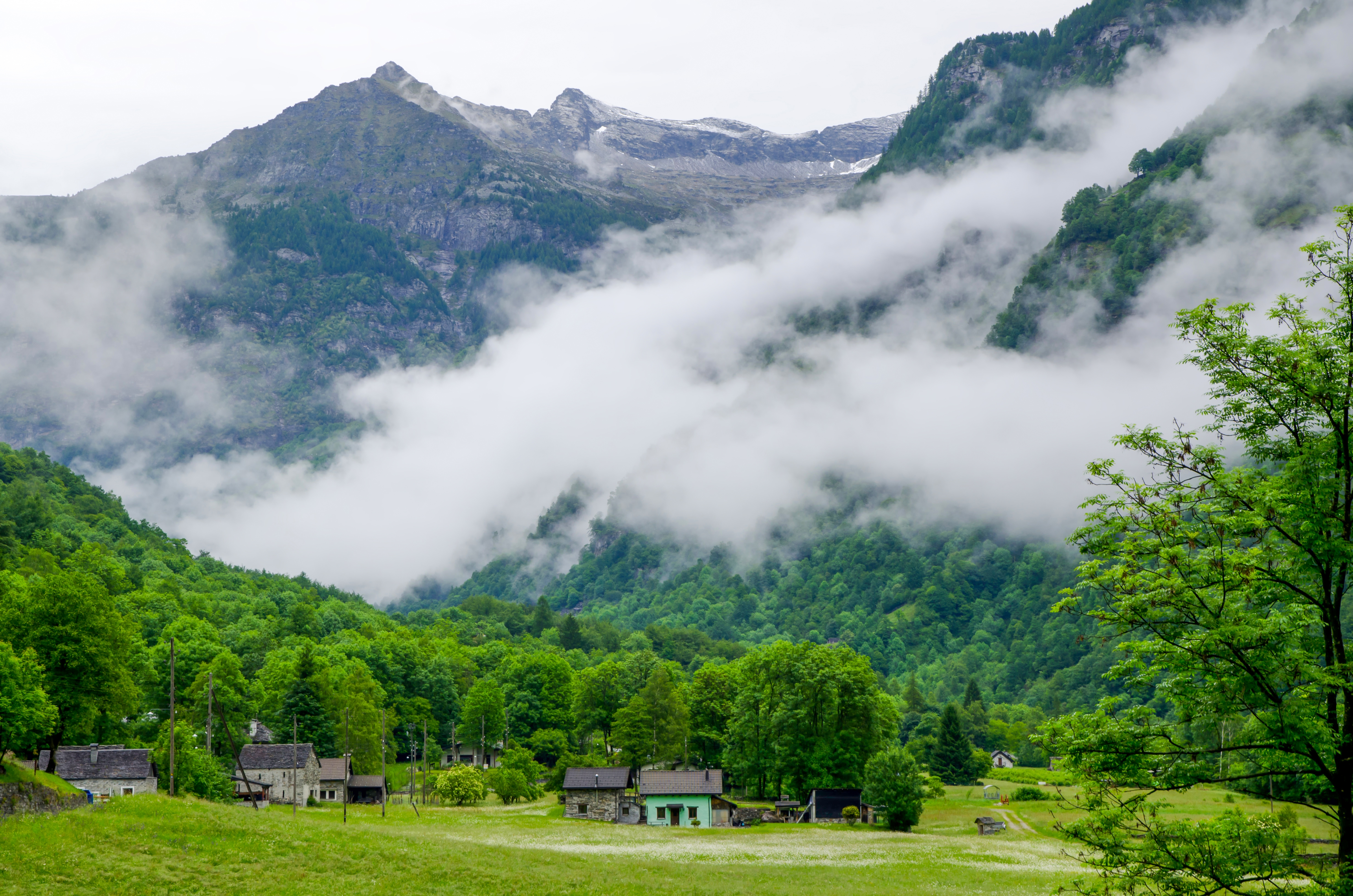 Himachal Pradesh